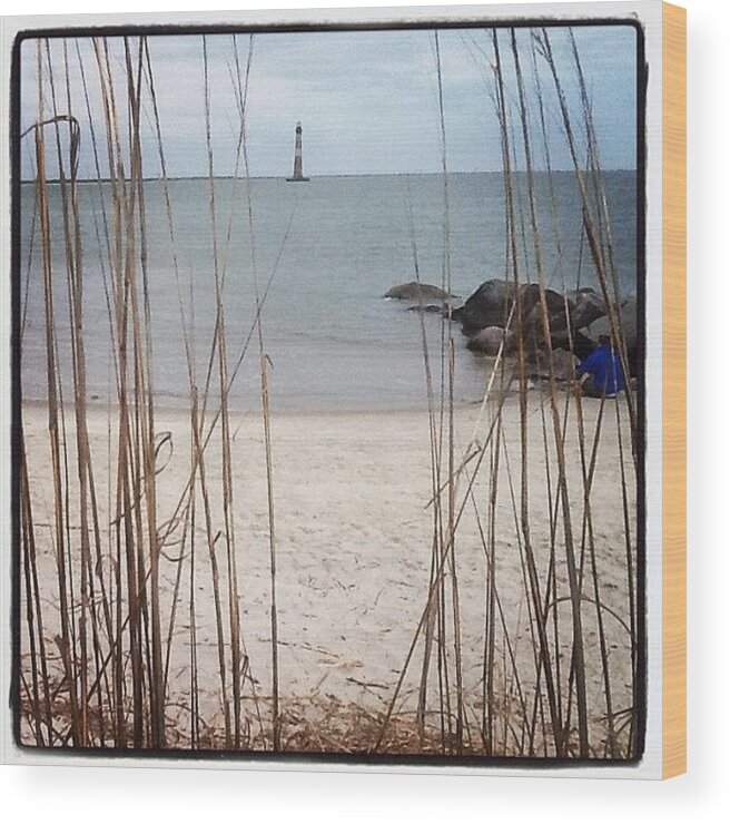  Wood Print featuring the photograph Charleston, Sc - Out Of The Weeds by Trey Kendrick