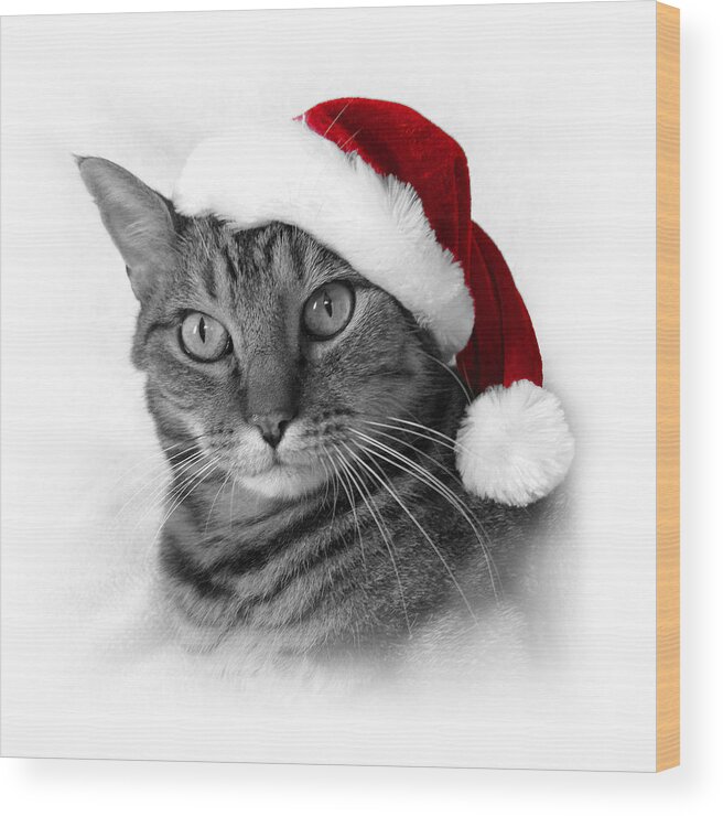 Christmas Cat Wood Print featuring the photograph Christmas Cat 1 by Helene U Taylor