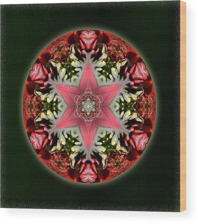 Mandala Wood Print featuring the mixed media Christmas Star by Alicia Kent