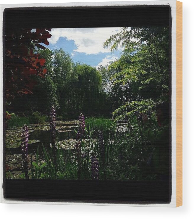 Beautiful Wood Print featuring the photograph Claude Monet's Gardens by Danielle McComb