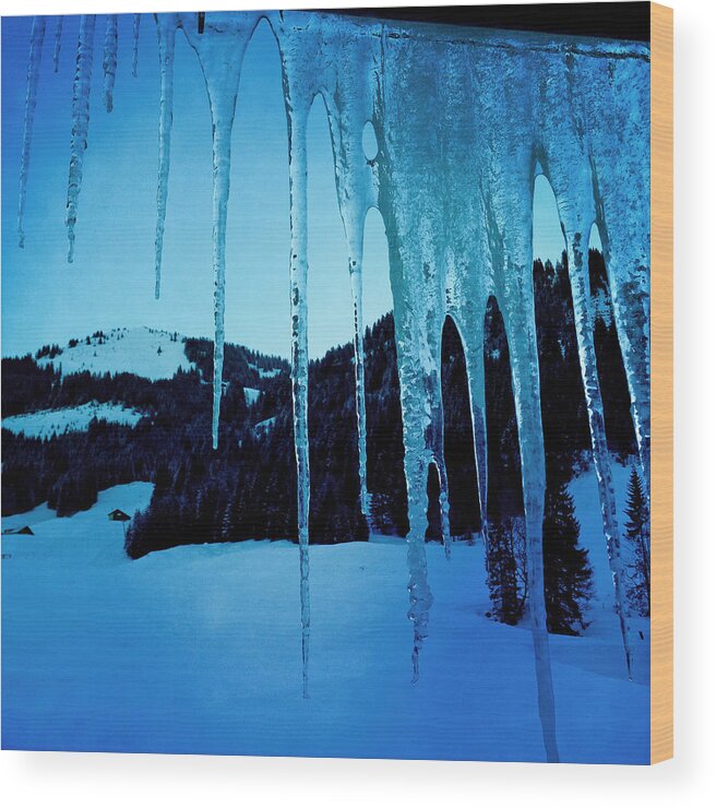 Icicles Wood Print featuring the photograph Cold outside - icicles in winter by Matthias Hauser