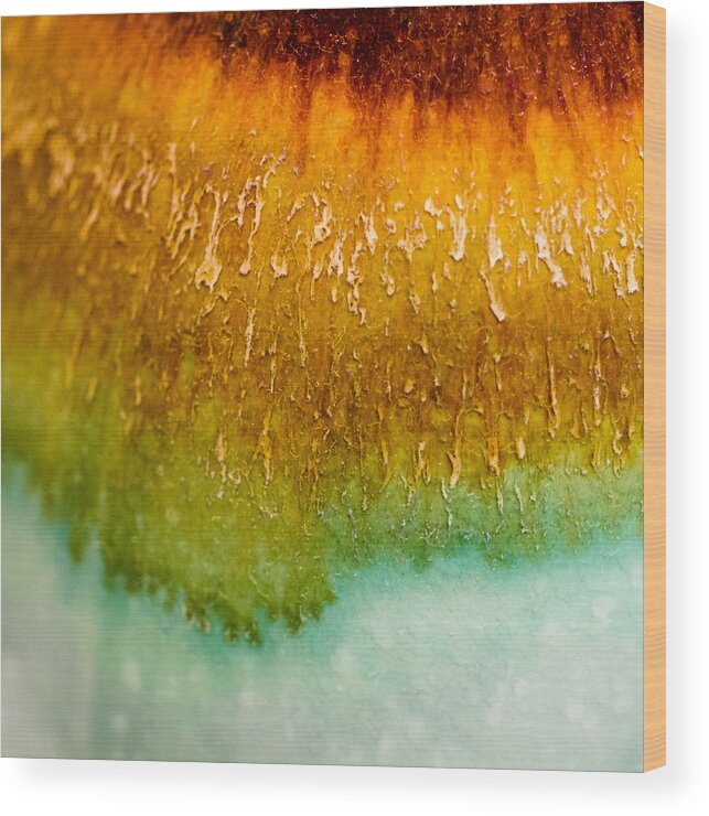 Abstract Wood Print featuring the photograph Color Fade by Christi Kraft