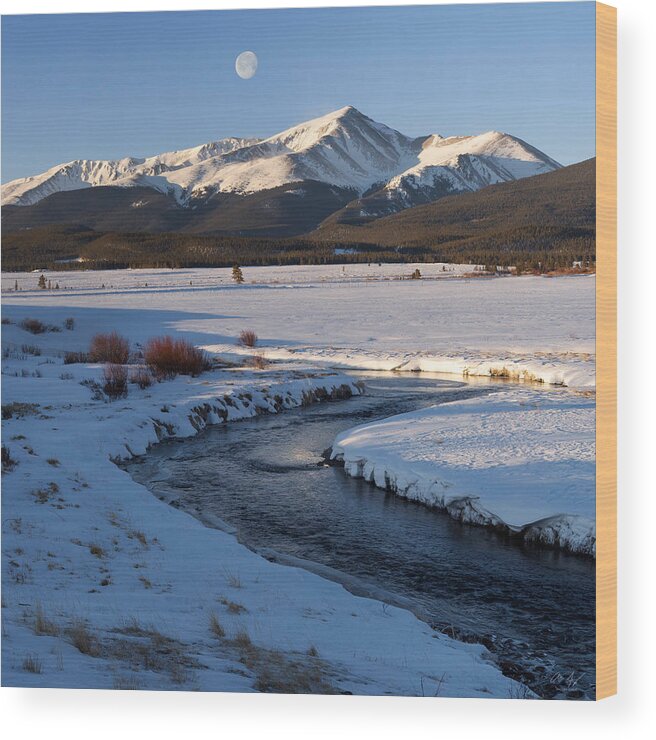 Colorado Wood Print featuring the photograph Colorado 14er Mt. Elbert by Aaron Spong