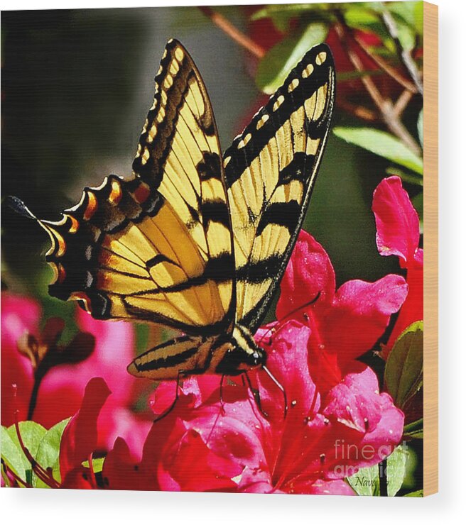 Nature Wood Print featuring the photograph Colorful Flying Garden by Nava Thompson