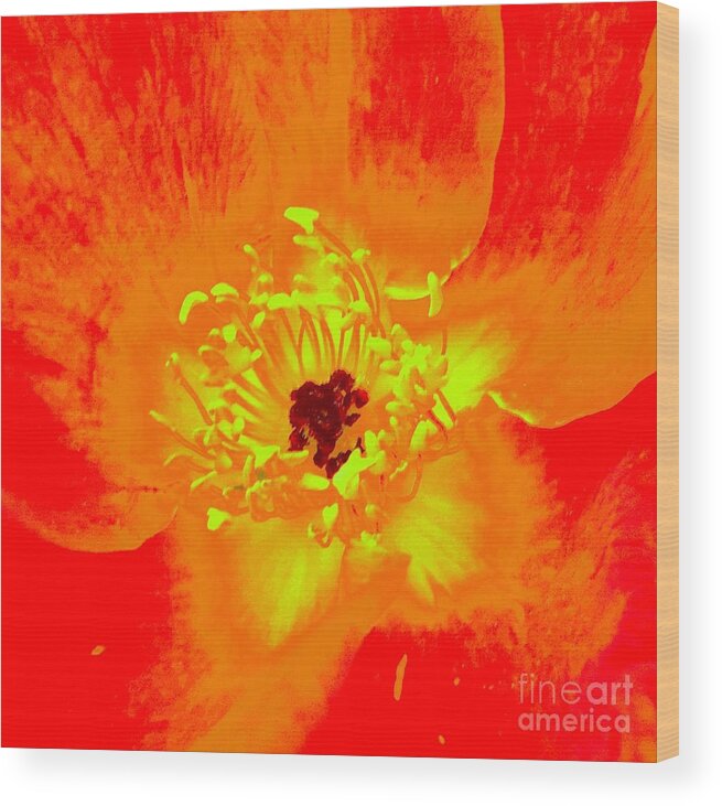  Wood Print featuring the photograph Come Closer Rose by Ann Johndro-Collins