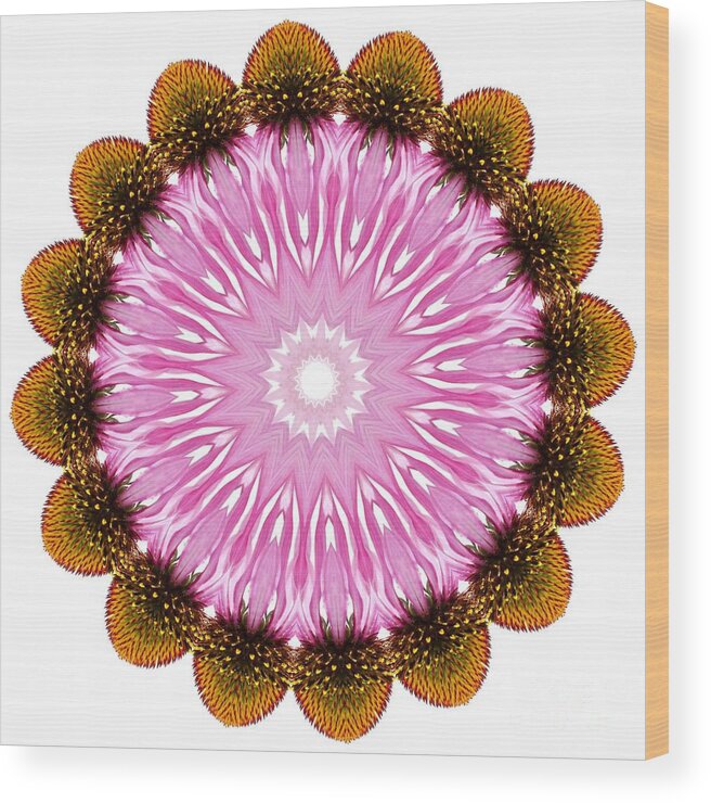 Coneflower Mandala Wood Print featuring the photograph Coneflower Mandala by Patty Colabuono