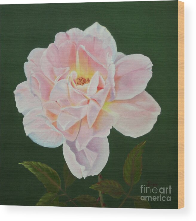 Cotton Candy Rose Wood Print featuring the painting Cotton Candy Rose by Jimmie Bartlett