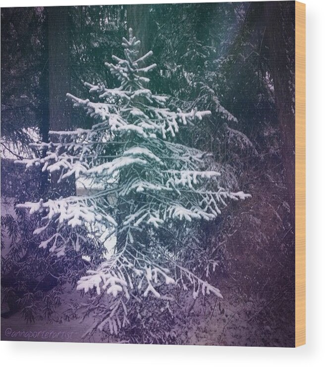 Trees Wood Print featuring the photograph Dancing With Trees by Anna Porter