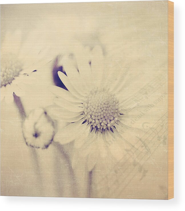 Flowers Wood Print featuring the photograph Dead With Sorrow by J C