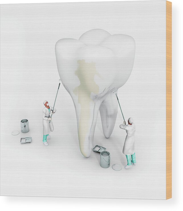 Adult Wood Print featuring the painting Dentists Whitening Large Tooth by Ikon Ikon Images
