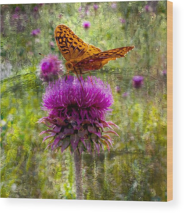 Butterfly Wood Print featuring the photograph Digital Butterfly Painting by Jens Larsen
