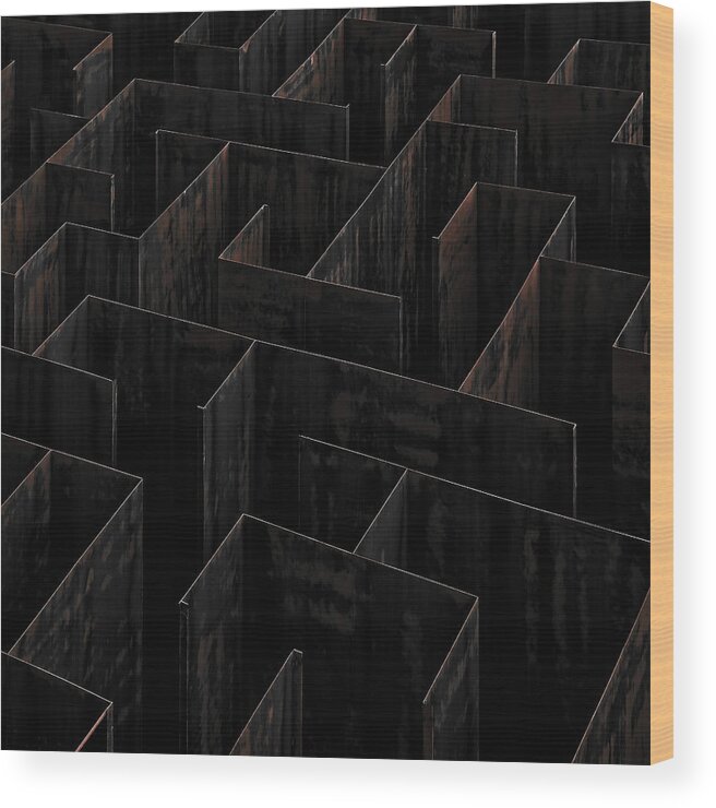 Labyrinth Wood Print featuring the photograph Domino Labyrinth by Gilbert Claes