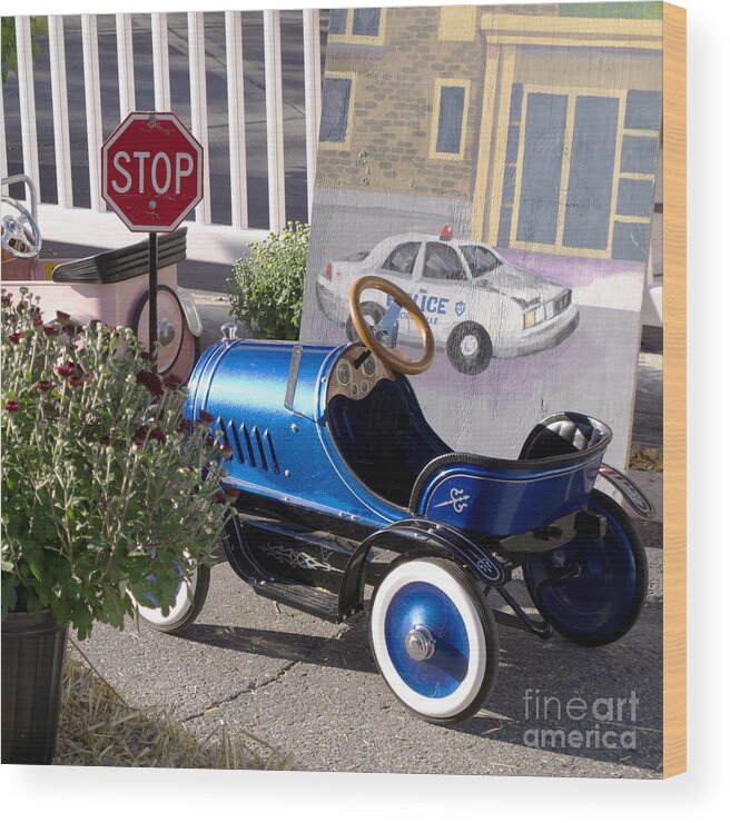 Children Wood Print featuring the photograph Driver Education by Ann Horn