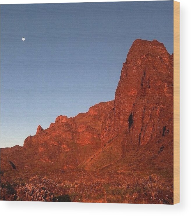 Mountains Wood Print featuring the photograph Early Morning Sun At Holua, Haleakala by Brian Governale