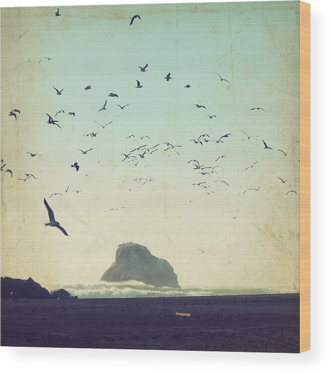 Flock Of Birds Wood Print featuring the photograph Earth Music by Lupen Grainne