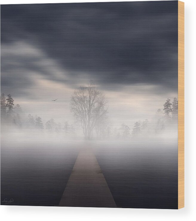 Gloomy Sky Wood Print featuring the photograph Emergence by Lourry Legarde