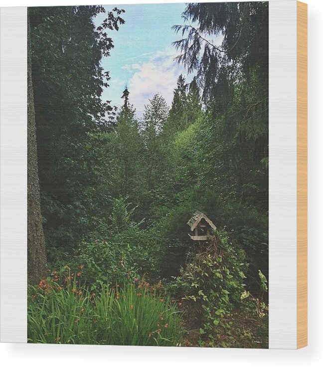 Northwestisbest Wood Print featuring the photograph Enjoying The Little Splashes Of Color by Courtney Allison