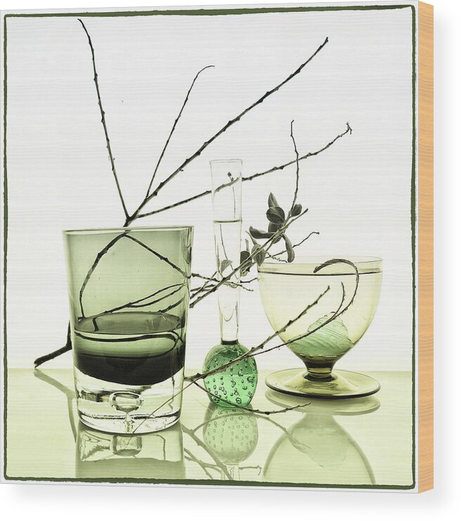 Still Life Wood Print featuring the photograph Etude in green by Andrei SKY