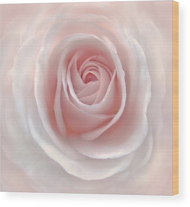 Rose Wood Print featuring the photograph Everlasting Pink Rose Flower by Jennie Marie Schell
