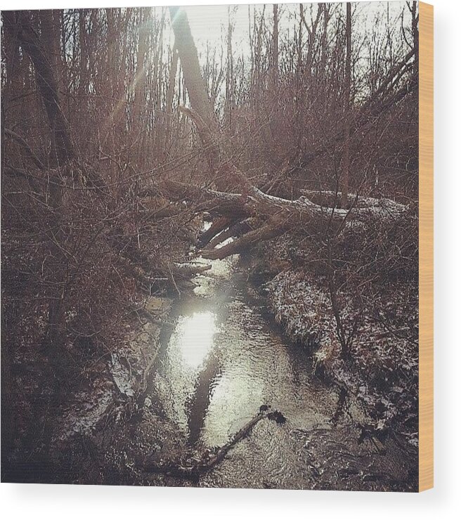 Creek Wood Print featuring the photograph Exploring In The Back Woods by Jill Tuinier