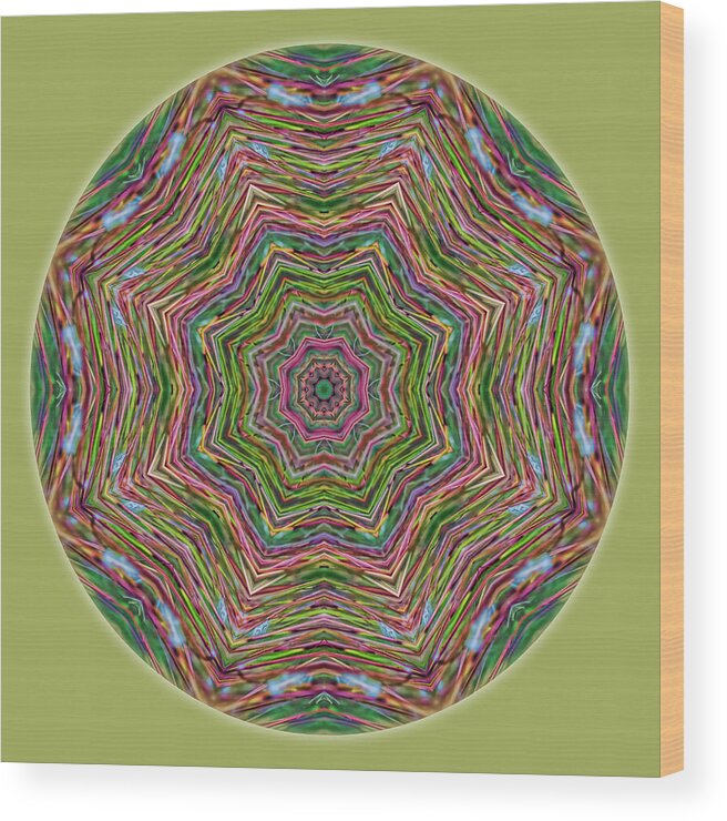 Mandala Wood Print featuring the photograph Fall Grass Mandala by Beth Venner