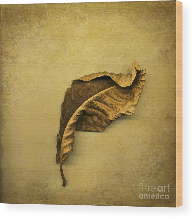 Leaf Wood Print featuring the digital art First to Fall by Jan Bickerton
