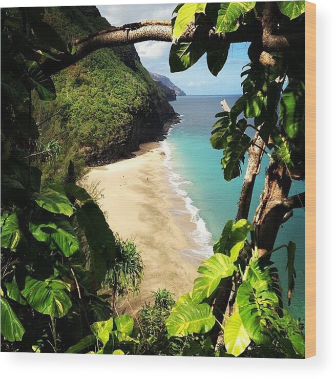 Kauai Wood Print featuring the photograph First View From Kalalau Trail by Hal Bowles