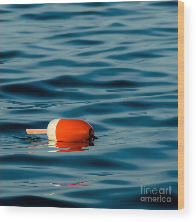 Lobster Buoy Wood Print featuring the photograph Floating by Tamara Becker