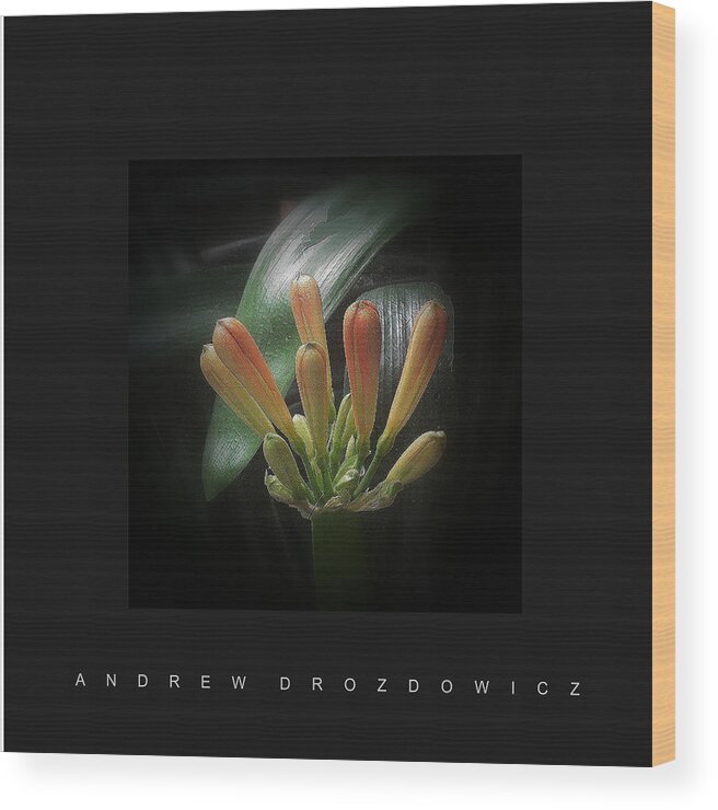Flowers Wood Print featuring the photograph Flora 1 by Andrew Drozdowicz