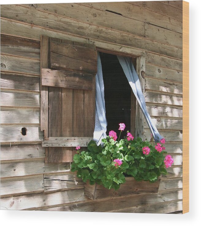8033 Wood Print featuring the photograph Flower Box and Curtains - Square by Gordon Elwell