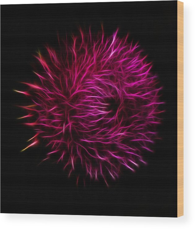 Flower Wood Print featuring the photograph Flower Burst by Shane Bechler