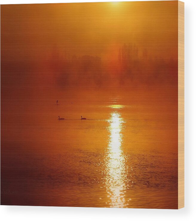 Sunrise Wood Print featuring the photograph Foggy Morning on the River by Nick Kloepping
