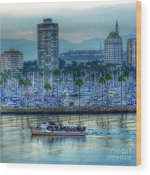 City Water Scene Wood Print featuring the photograph Follow That Boat by Susan Garren