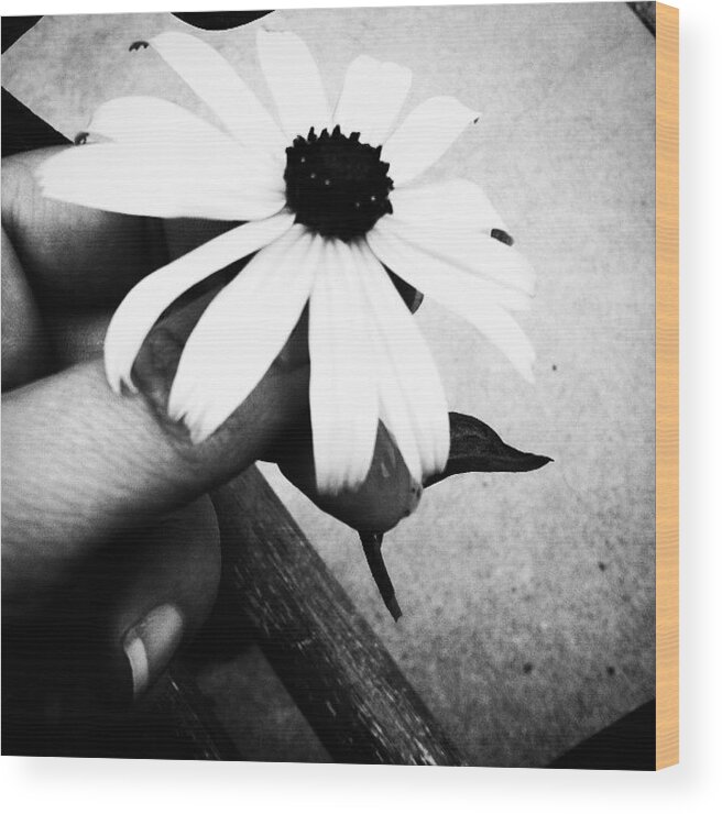Beautiful Wood Print featuring the photograph For You X #myphotography #gift #flower by Candace Rowlands 