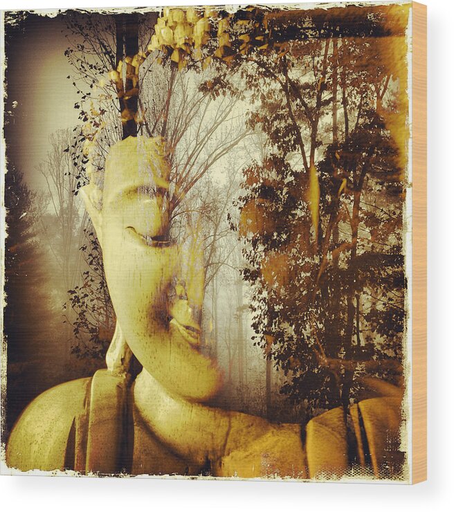 Photography Wood Print featuring the photograph Forest Buddha by Paul Cutright