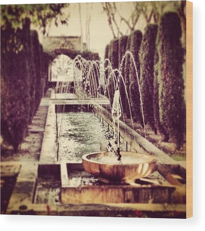 Igersspain Wood Print featuring the photograph #fountains At The #palace #gardens. A by Balearic Discovery