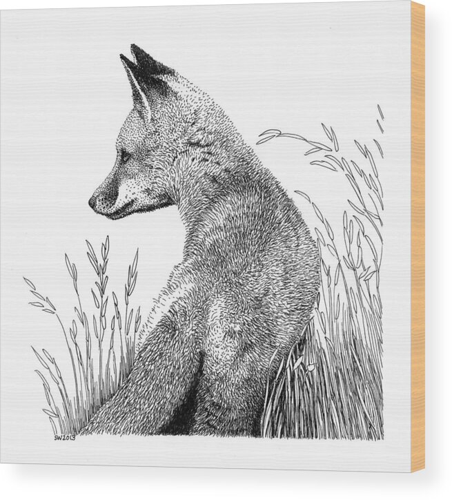 Fox Wood Print featuring the drawing Fox in Grass by Scott Woyak