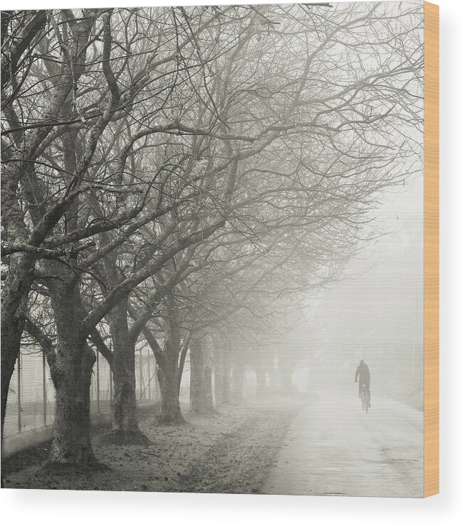Dawn Wood Print featuring the photograph Freezing Winter by 00310005041121005727