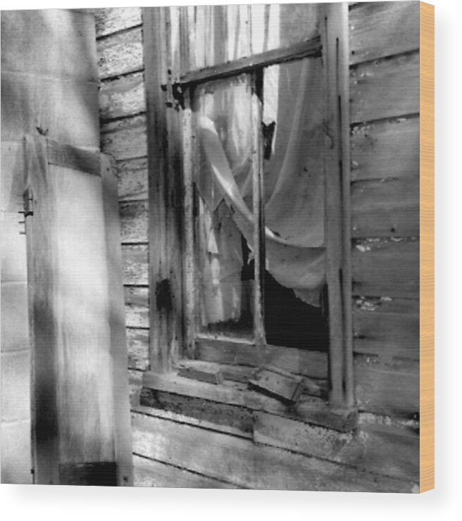 Fresh Wood Print featuring the photograph Fresh Air by Jean Macaluso