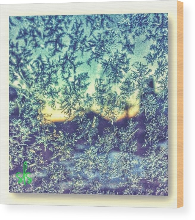  Wood Print featuring the photograph Frost & Sunrise. 
1/30/2014 by Sarah Steele