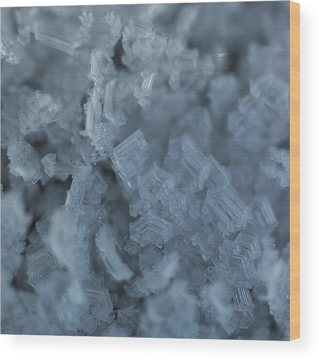 Frozen Wood Print featuring the photograph Frozen 2 by Illusorium Illustration