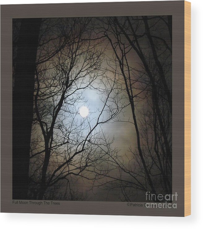 Moon Wood Print featuring the photograph Full Moon Through the Trees by Patricia Overmoyer
