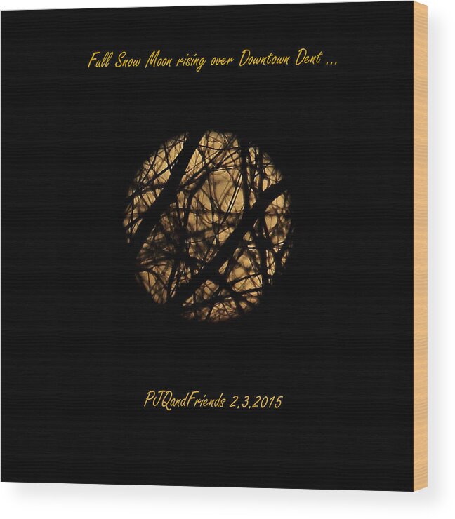 Full Snow Moon 2015 Wood Print featuring the photograph Full Snow Moon 2015 by PJQandFriends Photography