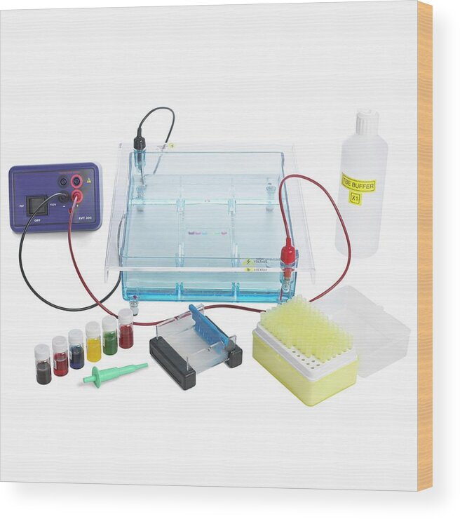 Gel Electrophoresis Wood Print featuring the photograph Gel Electrophoresis Equipment by Science Photo Library