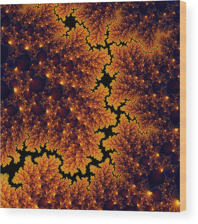 Golden Wood Print featuring the digital art Golden and black fractal universe by Matthias Hauser