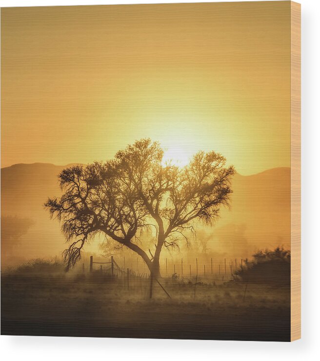 Landscape Wood Print featuring the photograph Golden Sunrise by Piet Flour