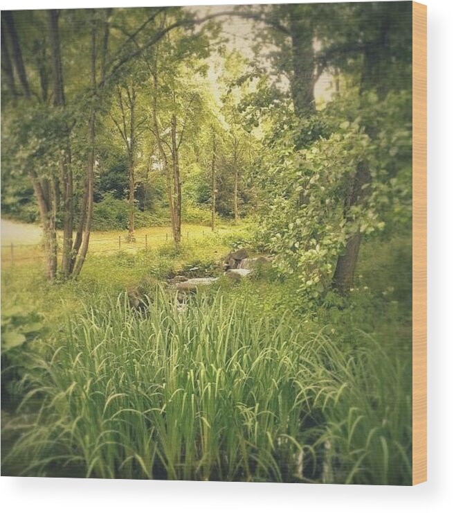 Summer Wood Print featuring the photograph Green Creek by Bunny My Yummy