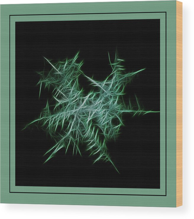 Photography Wood Print featuring the photograph Green Frost by Winnie Chrzanowski