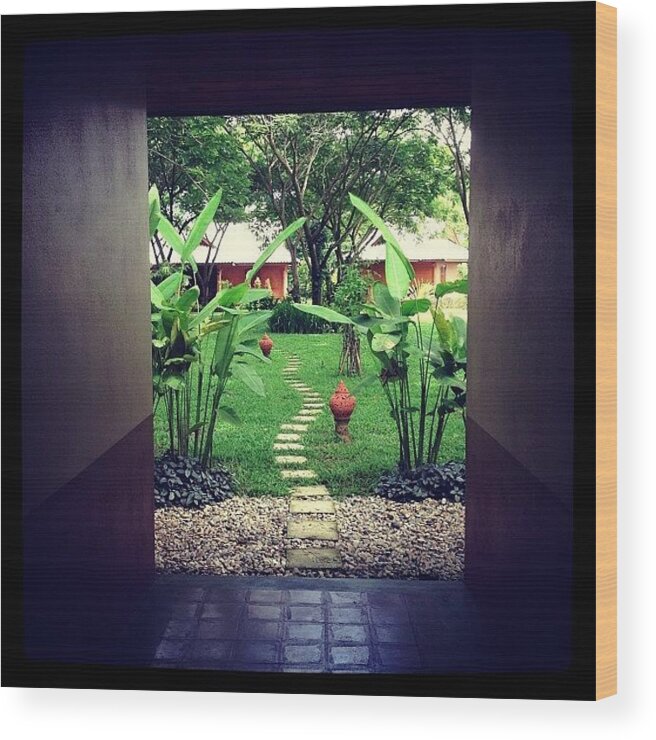 Garden Wood Print featuring the photograph Green Peace by Maesrihomegallery Chiang Rai