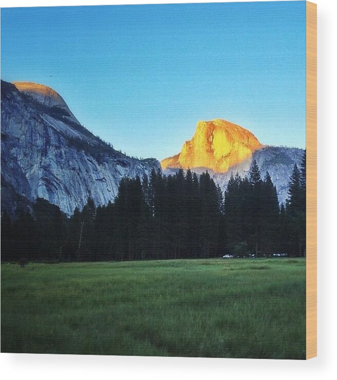  Wood Print featuring the photograph Half Dome | Yosemite National Park | by Tyler Rice